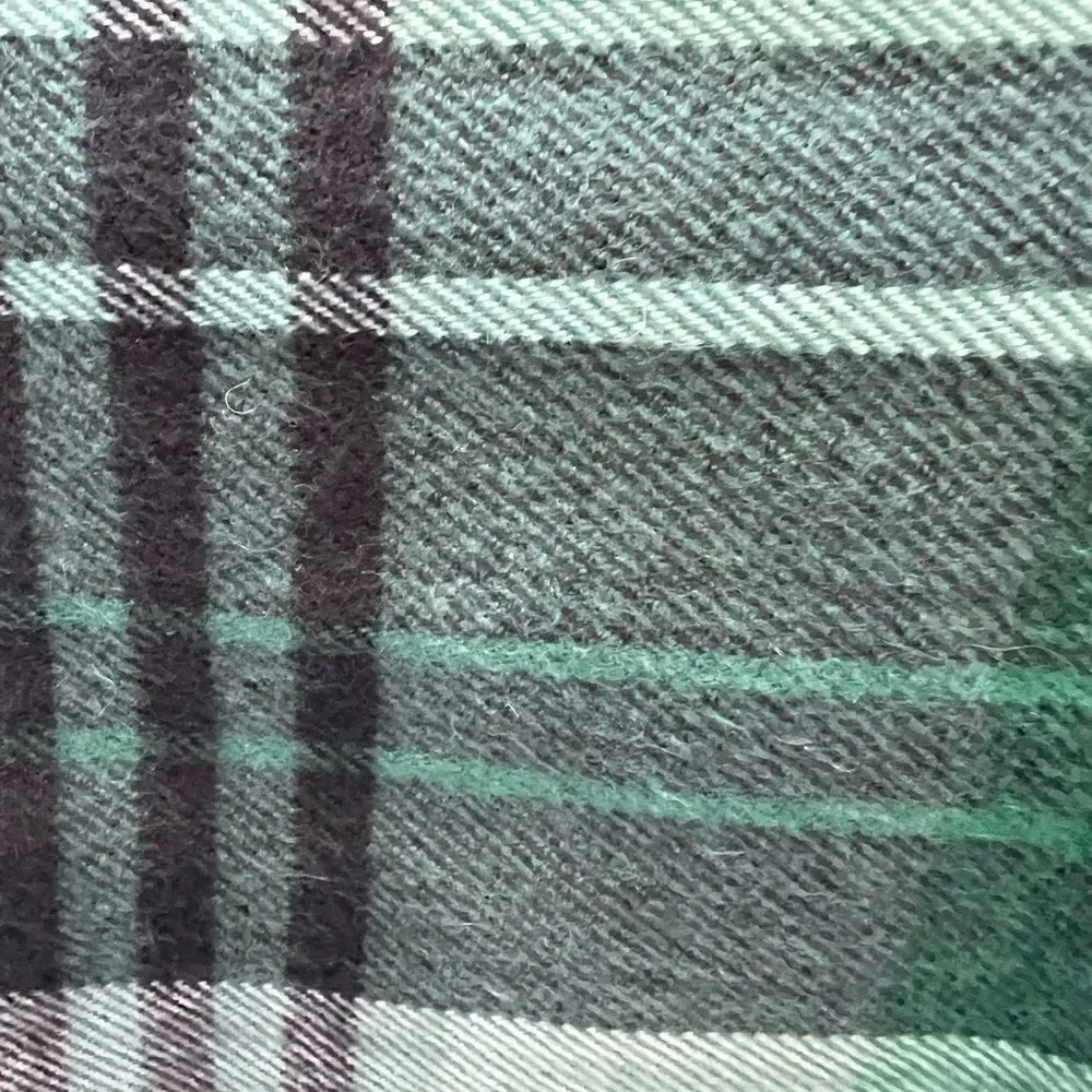 Banana republic factory men’s scarf green plaid Men’s one size